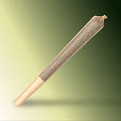 Pre-rolled cannabis joints